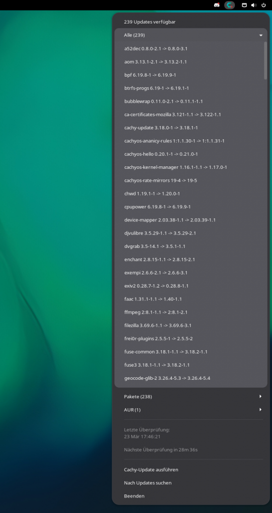 Ausgeklapper Cachy-Updater, der eine Liste aus Paketen in den Repositories zeigt, die aktualisiert werden können.