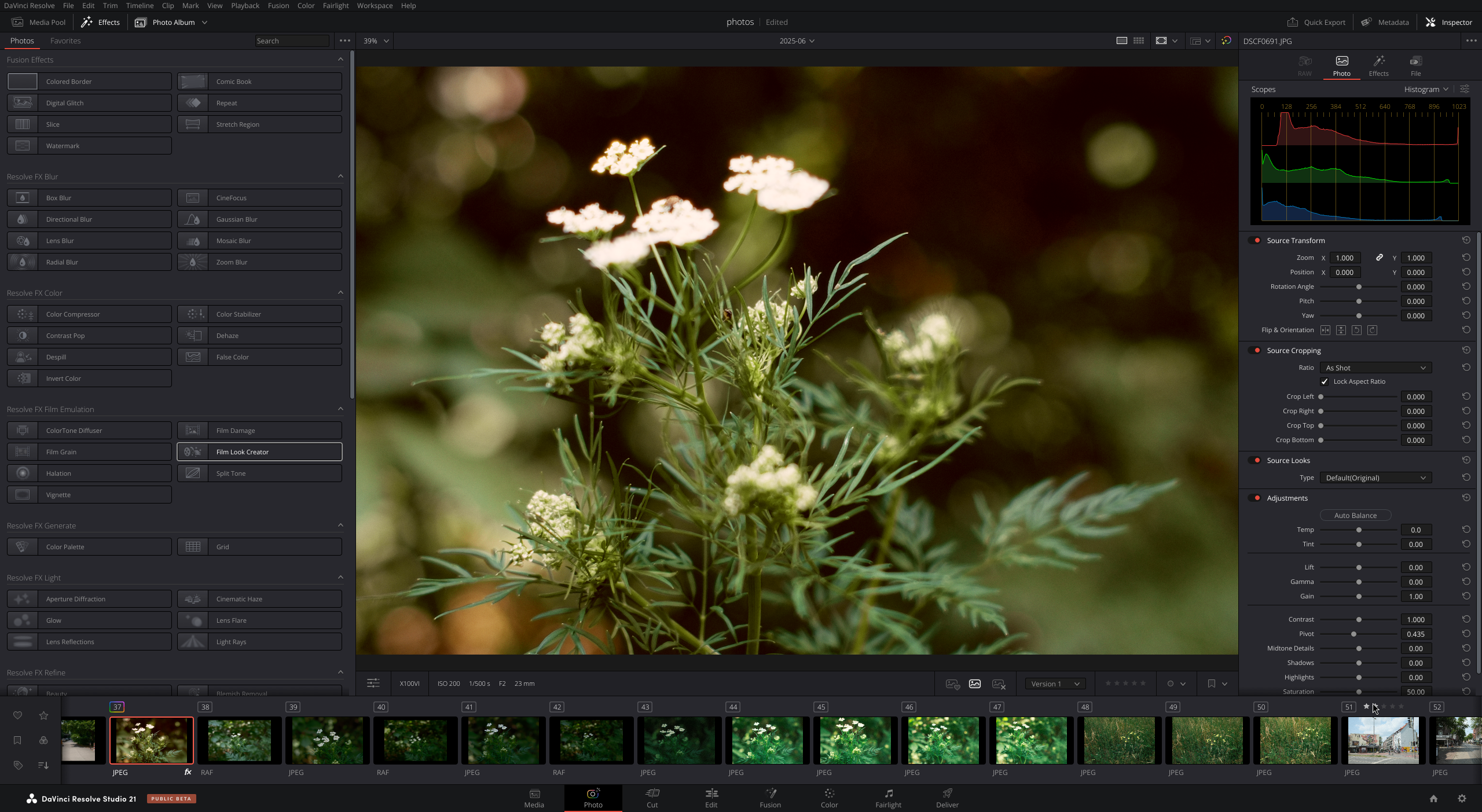 Das Programmfenster von Davinci Resolve mit geöffneter Photo-Seite. In der Vorschau ein Blumenbild.
