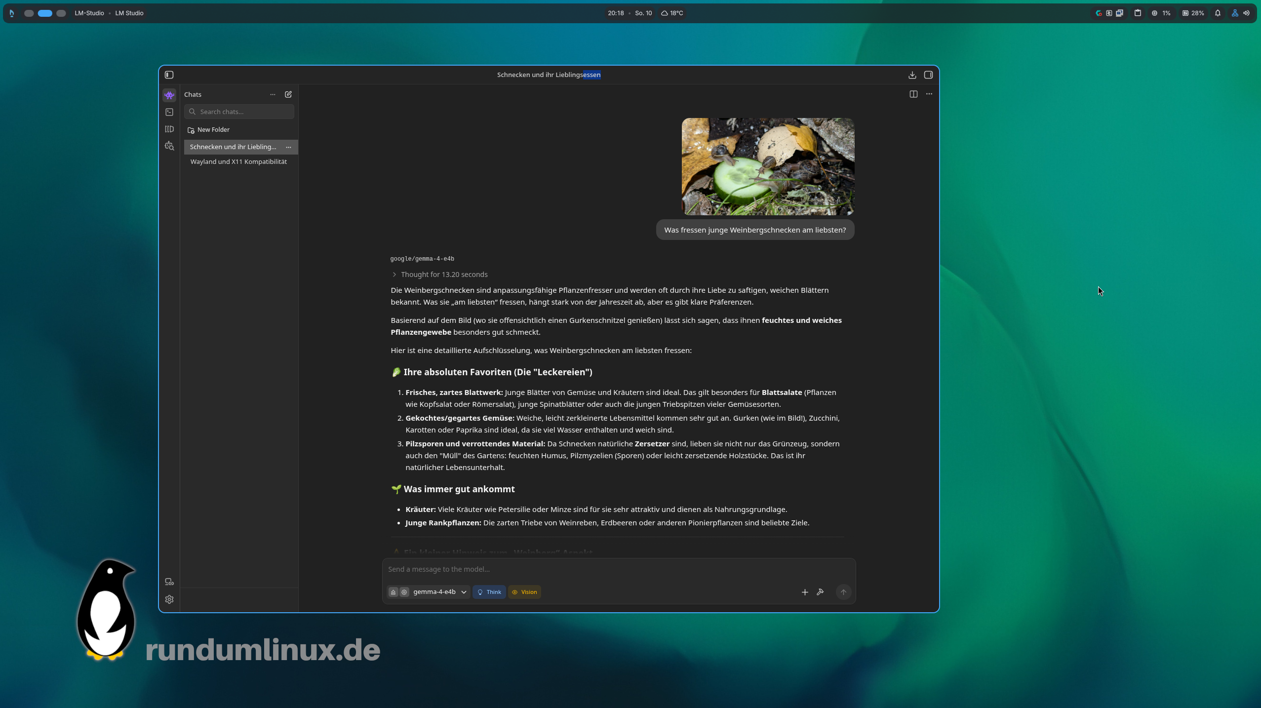 Das KI-Tool LMStudio unter Linux. Zu sehen ist ein Chat mit einem hochgeladenen Foto, das kleine Weinbergschnecken auf einer Gurkenscheibe zeigt.