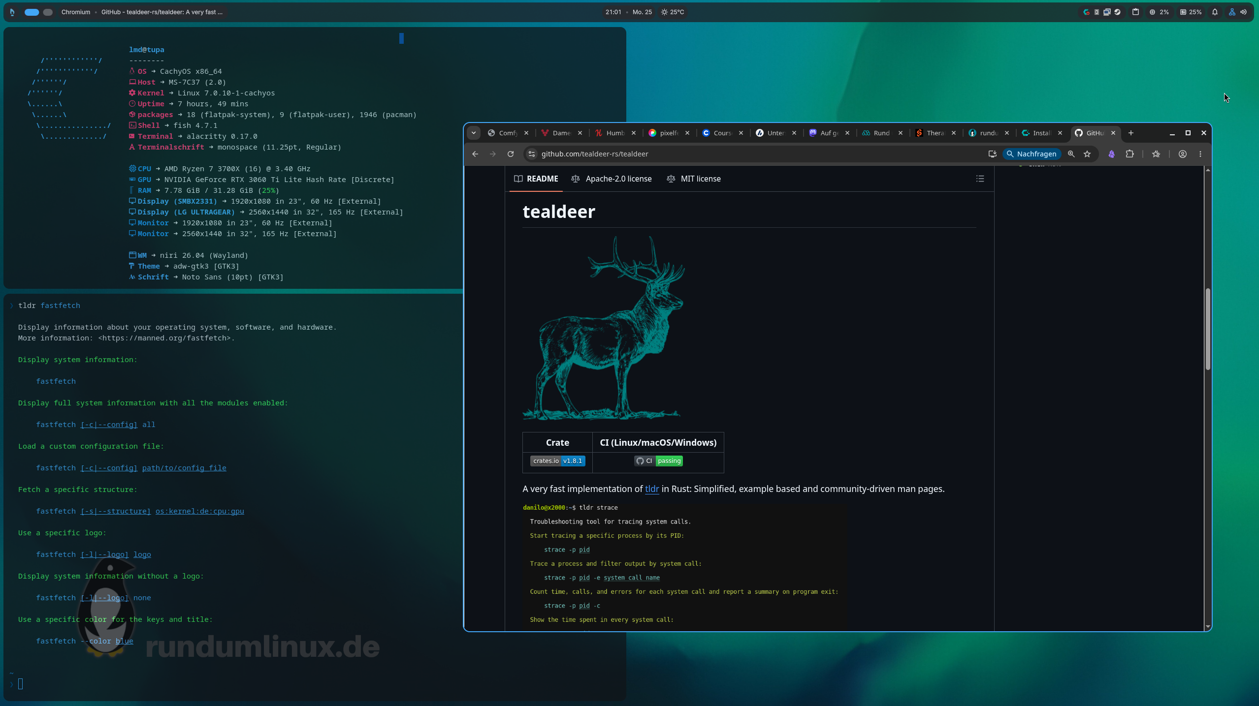 Linux-Desktop, der die Github-Seite von Tealdeer sowie ein Terminalfenster mit einer tldr-Ausgabe zeigt.
