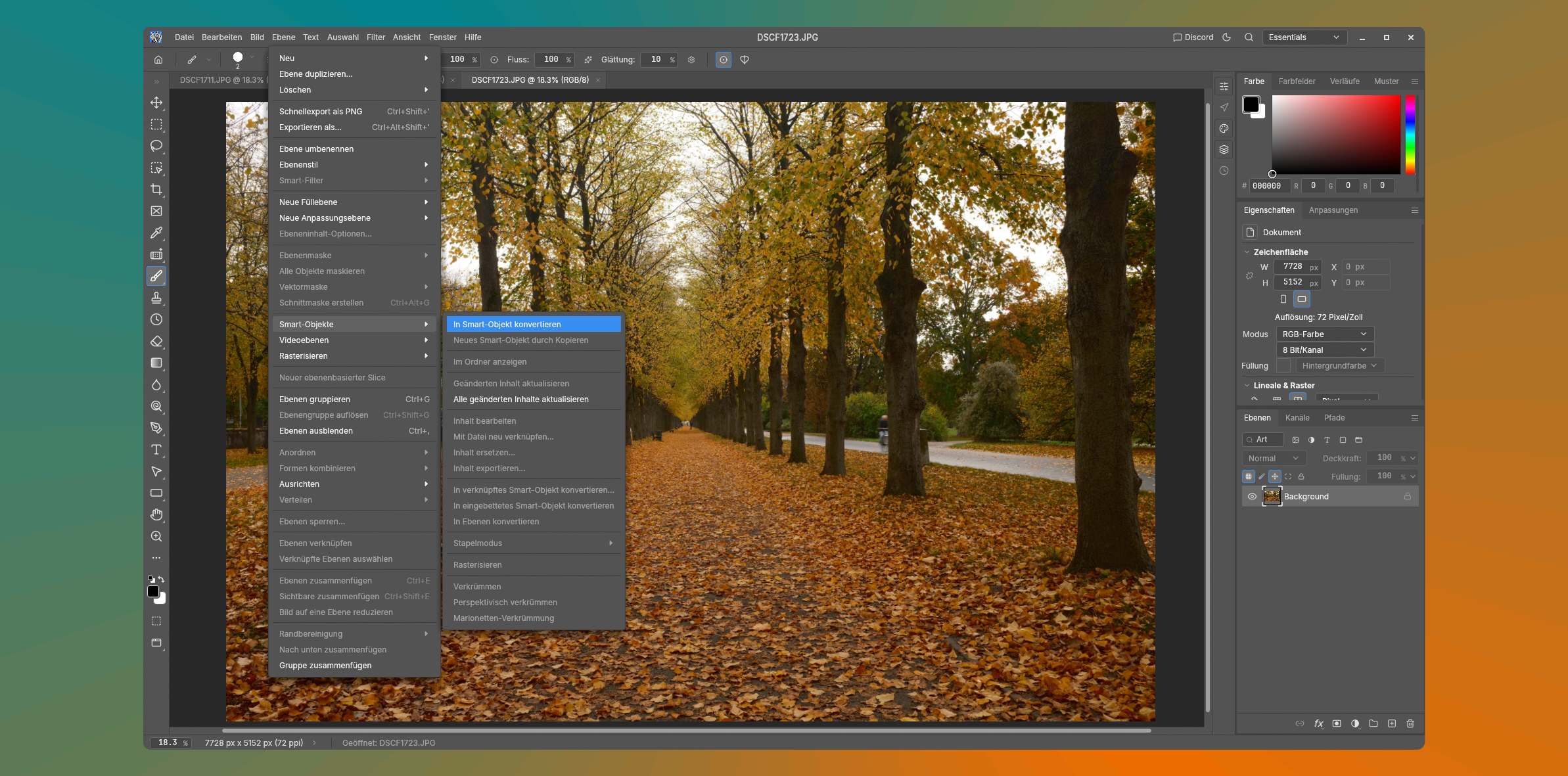 Programmfenster von Photocraft